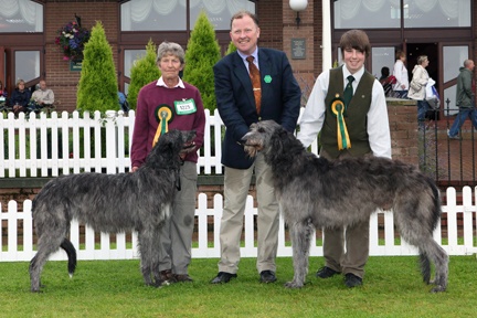 BOB & BOS Deerhound Club Breed Show 2009